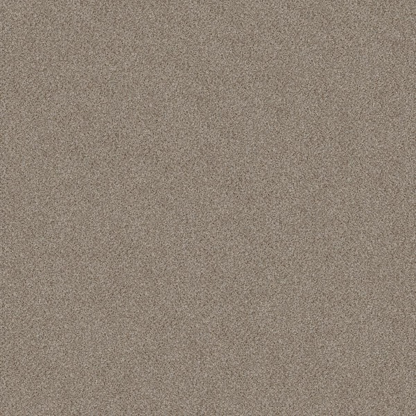 Home Decorators Collection Columbus II - Chantrelle - Brown 74.9 oz. SD Polyester Texture Installed Carpet