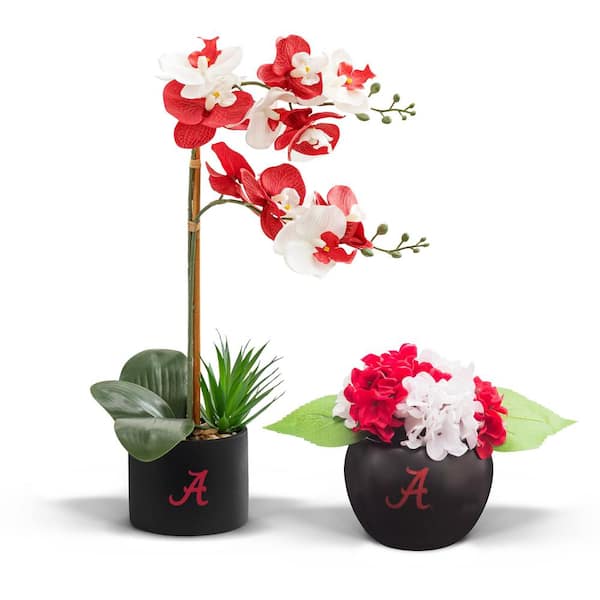 FOREVER LEAF 20 in. Alabama Crimson Tide Artificial Orchid Plant and Hydrangea Fan-Favorite College University Gift Bundle (2-Pack)