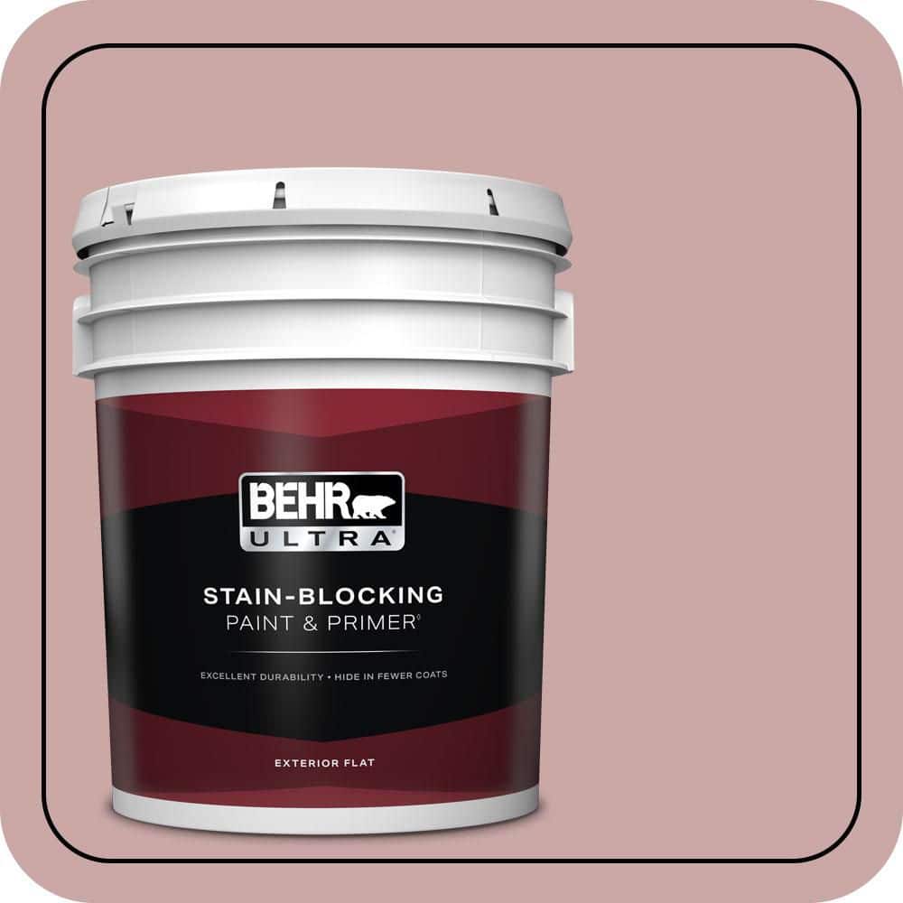 5 gal. #140E-3 Rose Bisque Flat Exterior Paint & Primer price history on PriceWatchPro