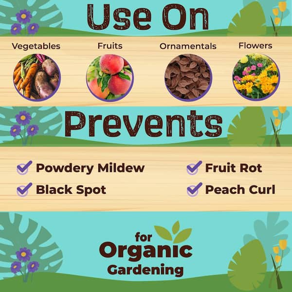 Captain Jack's Copper Fungicide, 32 oz. Ready-to-Use Spray for Organic Gardening, Controls Common Diseases