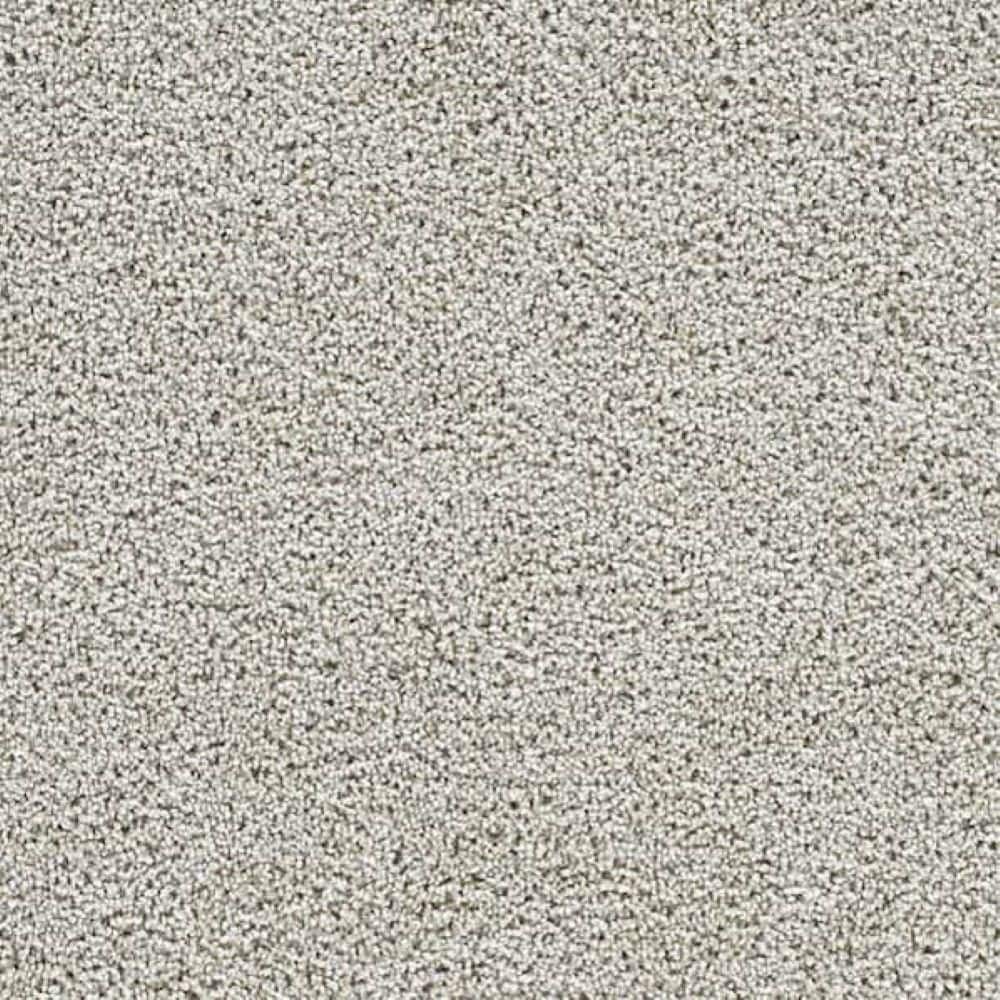 8 in. x 8 in. Texture Carpet Sample-Friendship Fables-Color Cherish price history on PriceWatchPro