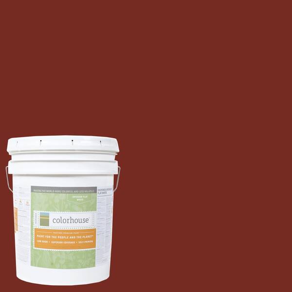 Colorhouse 5 gal. Clay .05 Flat Interior Paint
