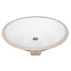 19 in. Oval Undermount Bathroom Sink in White