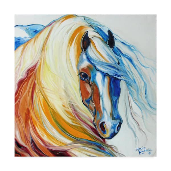 Trademark Fine Art Marcia Baldwin Gypsy Vanner Dream Canvas Unframed Photography Wall Art 24 in. x 24 in