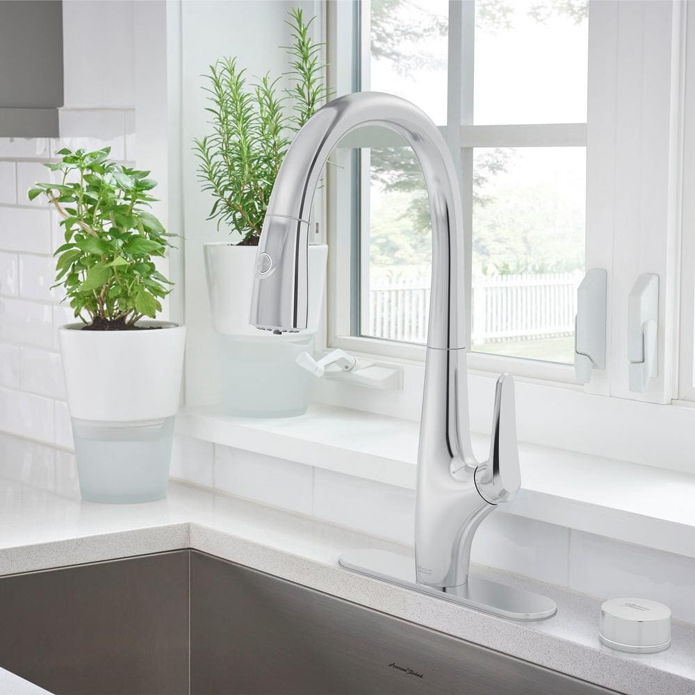 Saybrook Chrome Pull-Down Kitchen Faucet with Filter