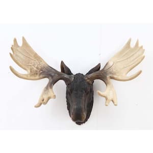 Moose Head Hangs On Wall