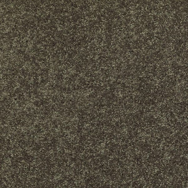 TrafficMaster Palmdale I - Forest Path - Green 17.6 oz. Polyester Texture Installed Carpet