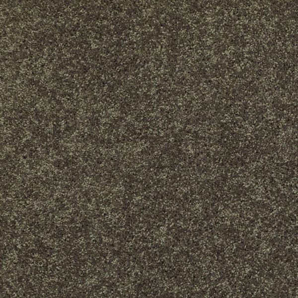 TrafficMaster Palmdale II - Forest Path - Green 31.2 oz. Polyester Texture Installed Carpet
