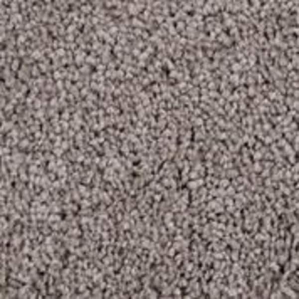TrafficMaster 8 in. x 8 in. Texture Carpet Sample - Founder -Color Elder