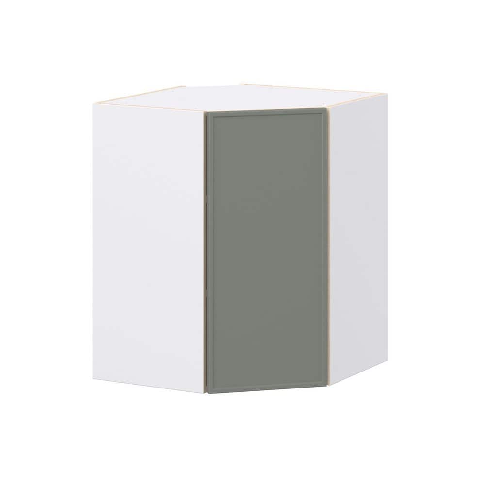 Fairview 24 in. W x 14 in. D x 30 in. H Assembled Slim Shaker Diagonal Corner Kitchen Cabinet in Moss Green price history on PriceWatchPro
