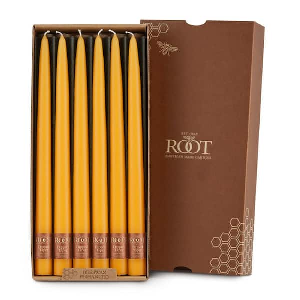 ROOT CANDLES Dipped Taper 12 in. Butterscotch Unscented Taper Candle (Box of 12)