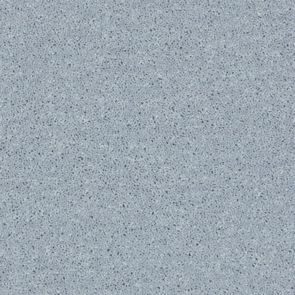 8 in. x 8 in. Texture Carpet Sample - Cottage Comforts - Color Rain Dance price history on PriceWatchPro