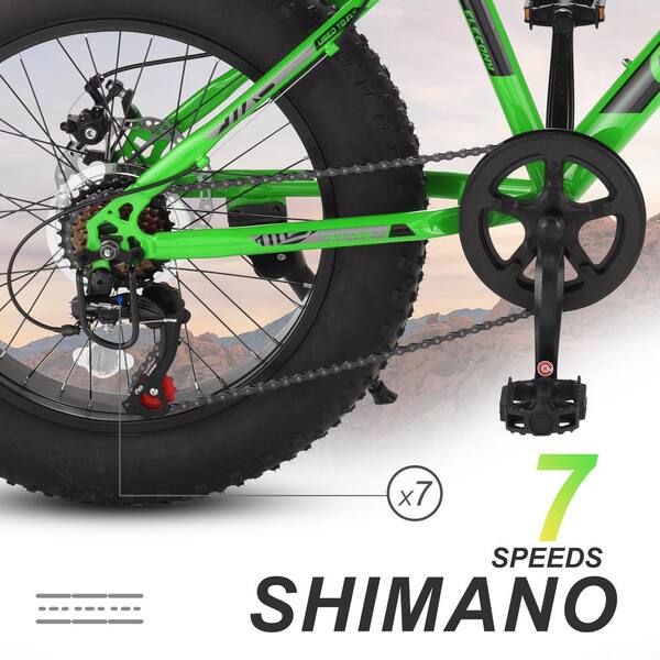Runesay 20 in. Fat Tire Bike Adult 7 Speed Mountain Bike Dual Disc