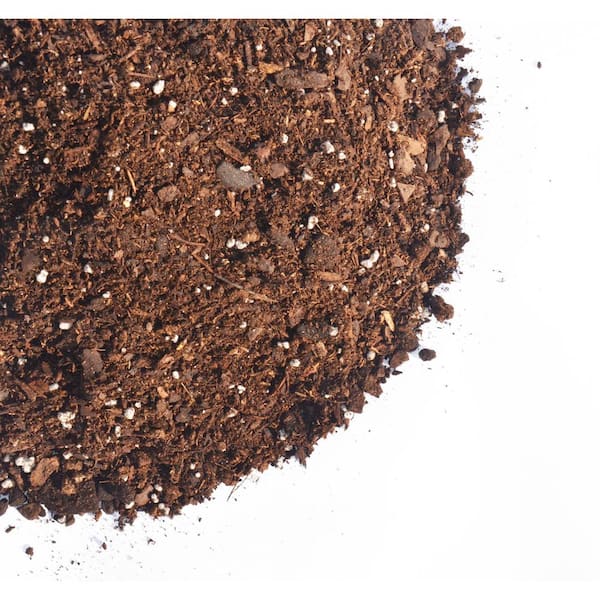 potting mix for strawberries FoxFarm Strawberry Fields 1.5 Cu. Ft. Potting Soil