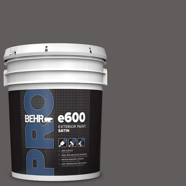 5 gal. #PPU18-19 Intellectual Satin Enamel Exterior Paint