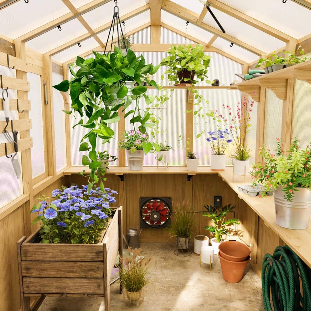 7x6 ft Beige Cedar and Polycarbonate Walk-In Greenhouse