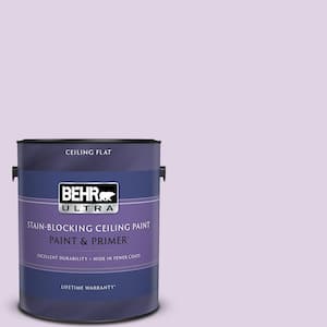 1 gal. #M570-2 Monologue Ceiling Flat Interior Paint and Primer