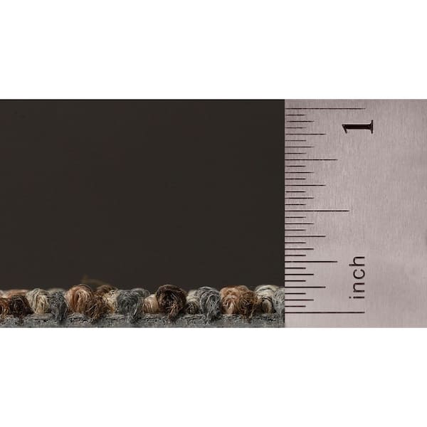 8 in. x 8 in. Textured Loop Carpet Sample - Basics -Color - Neutral