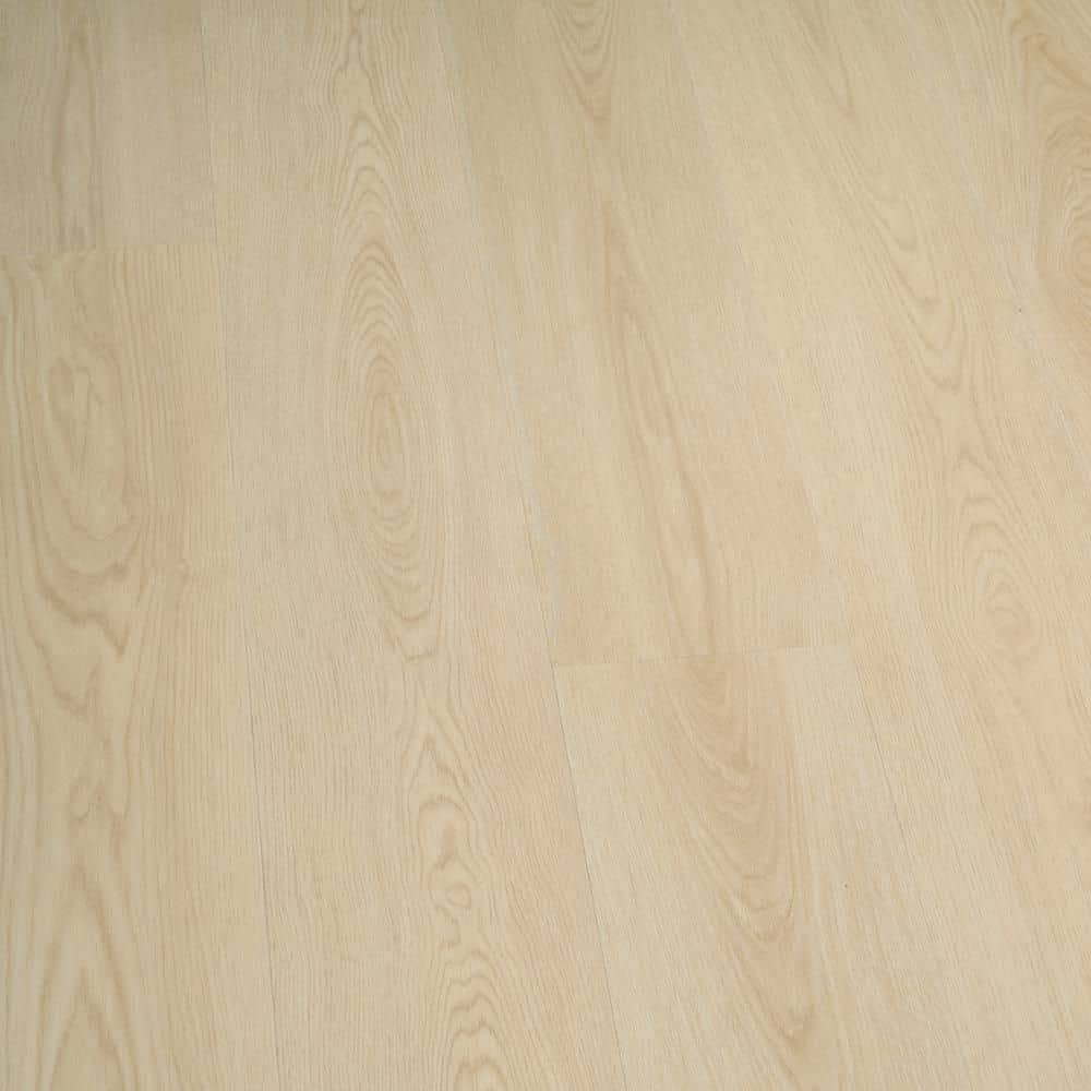 Take Home Sample - French Oak Lakeport Loose Lay Waterproof Luxury Vinyl Plank Flooring price history on PriceWatchPro