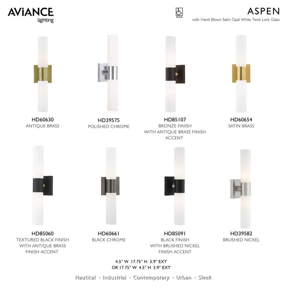 Aero 18" Black and Brass 2-Light Vanity Sconce