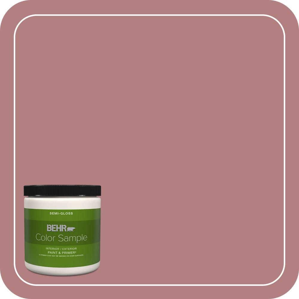 8 oz. #T14-15 Minuet Rose Semi-Gloss Interior/Exterior Paint & Primer Color Sample price history on PriceWatchPro