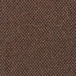 Colwick - Color Sienna Indoor Pattern Red Carpet