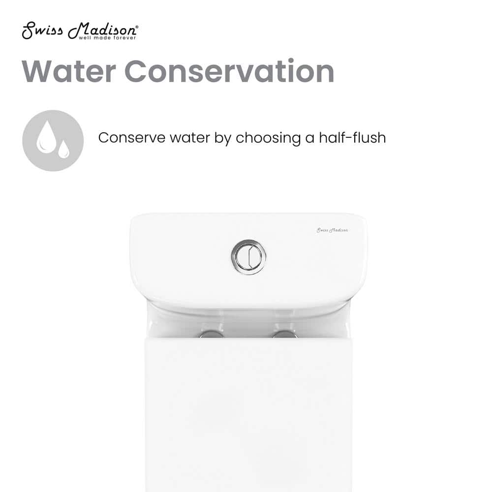 Glossy White Elongated Dual Flush One-Piece Toilet