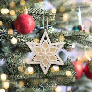Scented Star Ornament, White Winter Fir, 2-Pack