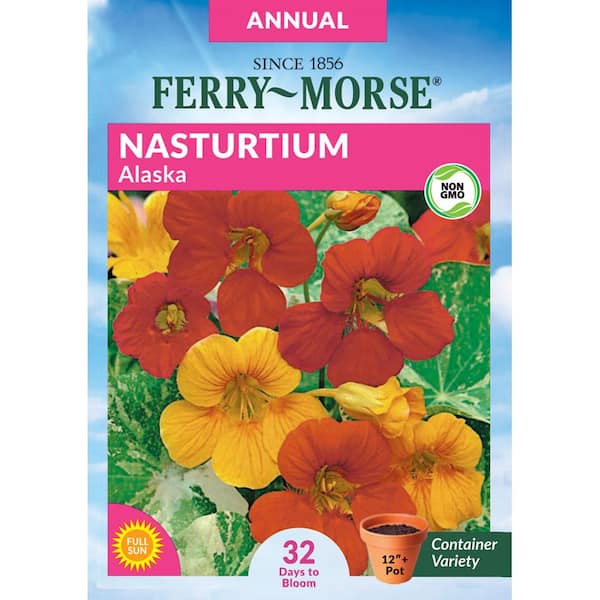 Nasturtium Alaska Mixed Colors Dwarf Seed