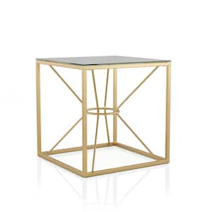 Karrey 23.75 in. Gold Coating and Clear Square Glass Top End Table