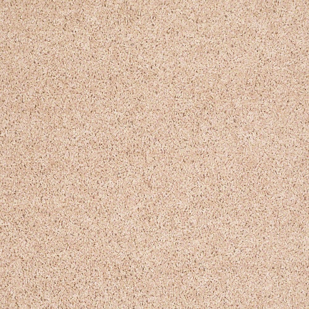 8 in. x 8 in. Texture Carpet Sample - Palmdale I - Color Lavish Bronze price history on PriceWatchPro
