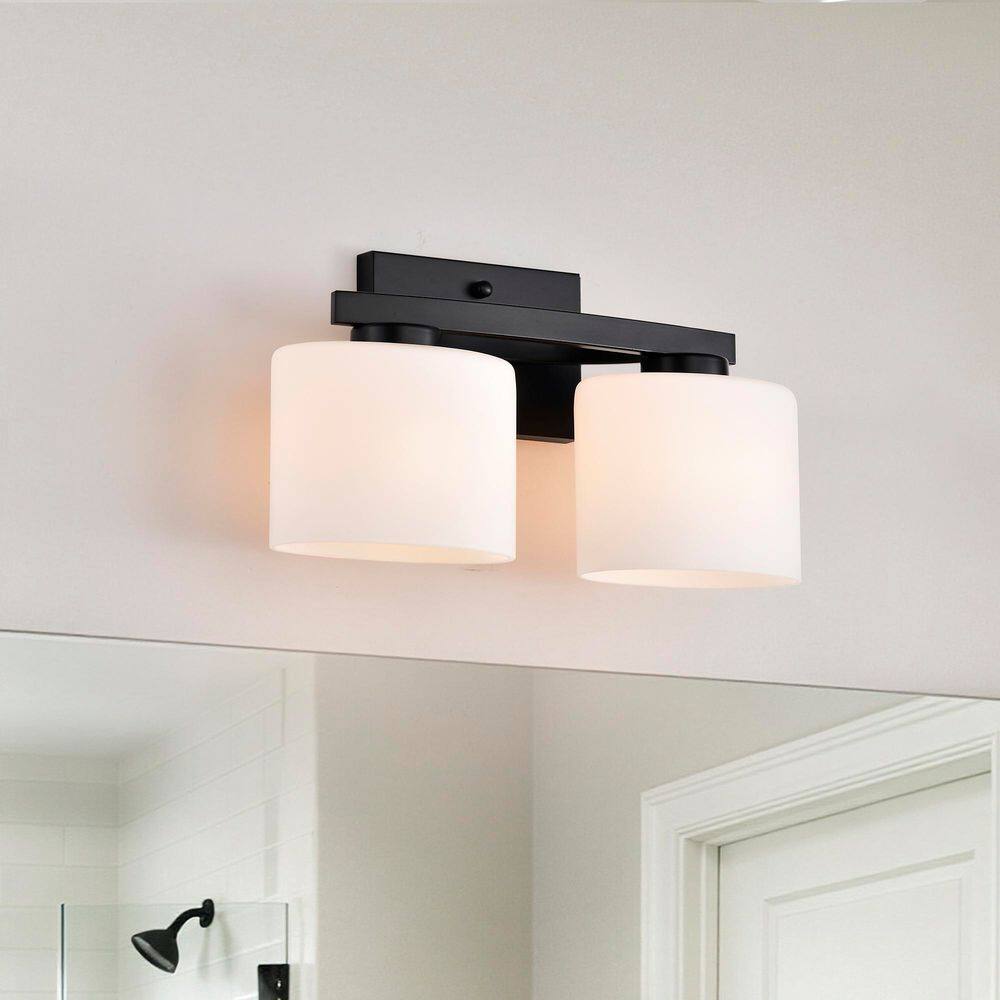 14 in. 2-Light Matte Black Modern Hardwired Unique Bathroom Vanity Lights Fixture with Oval-Shaped White Glass Shades price history on PriceWatchPro