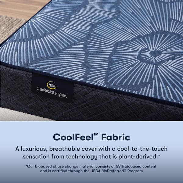 Perfect Sleeper Pacific Peace Queen Firm 12 in. Mattress