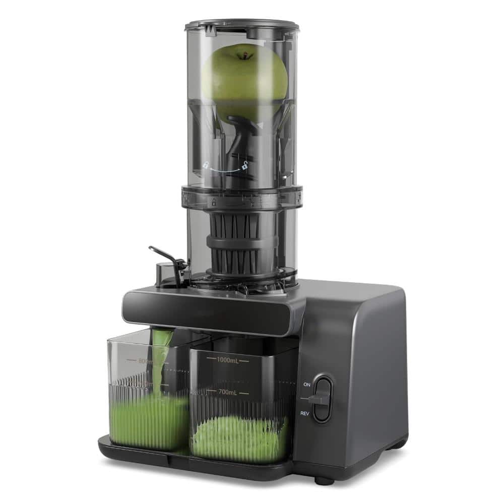 Cold Press Juicer with 5.3 in Wide Feed Chute, Slow Masticating Juicer for High Juice Yield and Reverse Function price history on PriceWatchPro