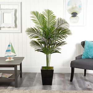5 ft. Paradise Palm Artificial Tree in Black Metal Planter