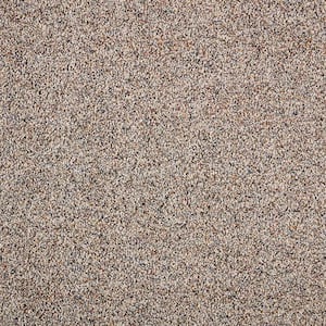 Playful Moments II - Color Ash Gray Indoor Texture Carpet