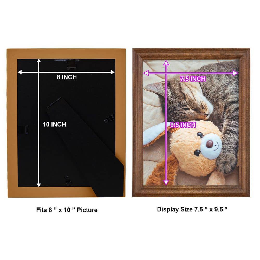Walnut Matte Finish 8x10 Wooden Picture Frame Set