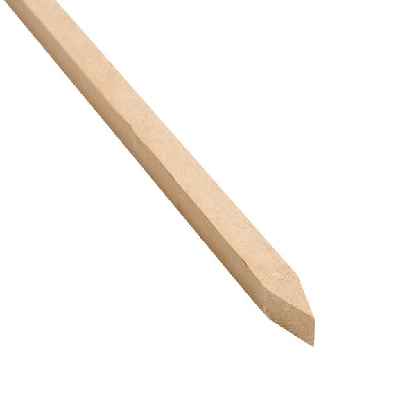 60 in. Wood Tomato Stake (12-Pack)