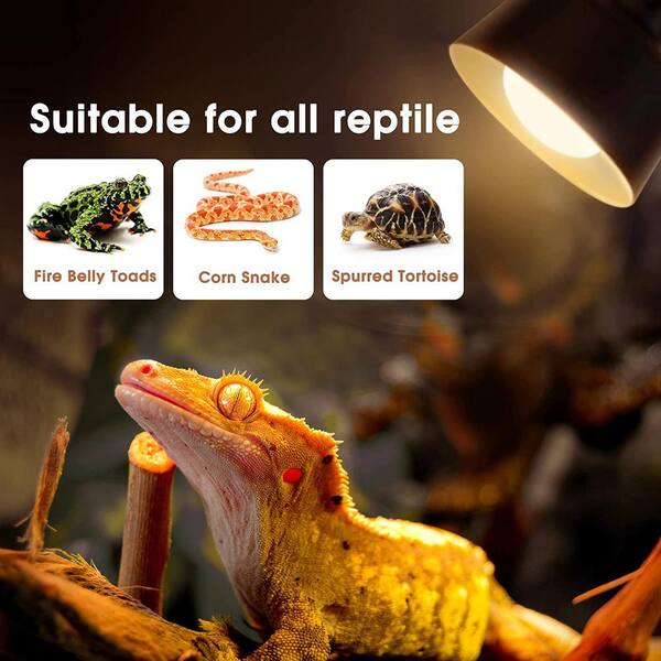pets at home basking lamp