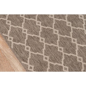 Baja Taupe 7 ft. x 10 ft. Indoor/Outdoor Area Rug