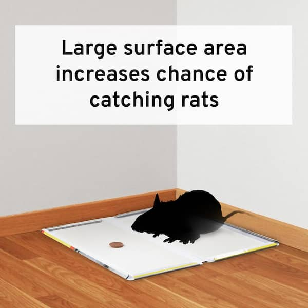 Rat Size Bulk Glue Boards (30-Pack)