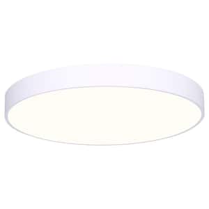 Low Profile Edgeless 5 in. White Integrated LED Flush Mount