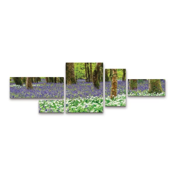 Trademark Fine Art Michael Blanchette Photography Bluebells and Garlic 5-Piece Panel Set Unframed Photography Wall Art 24 in. x 72 in.