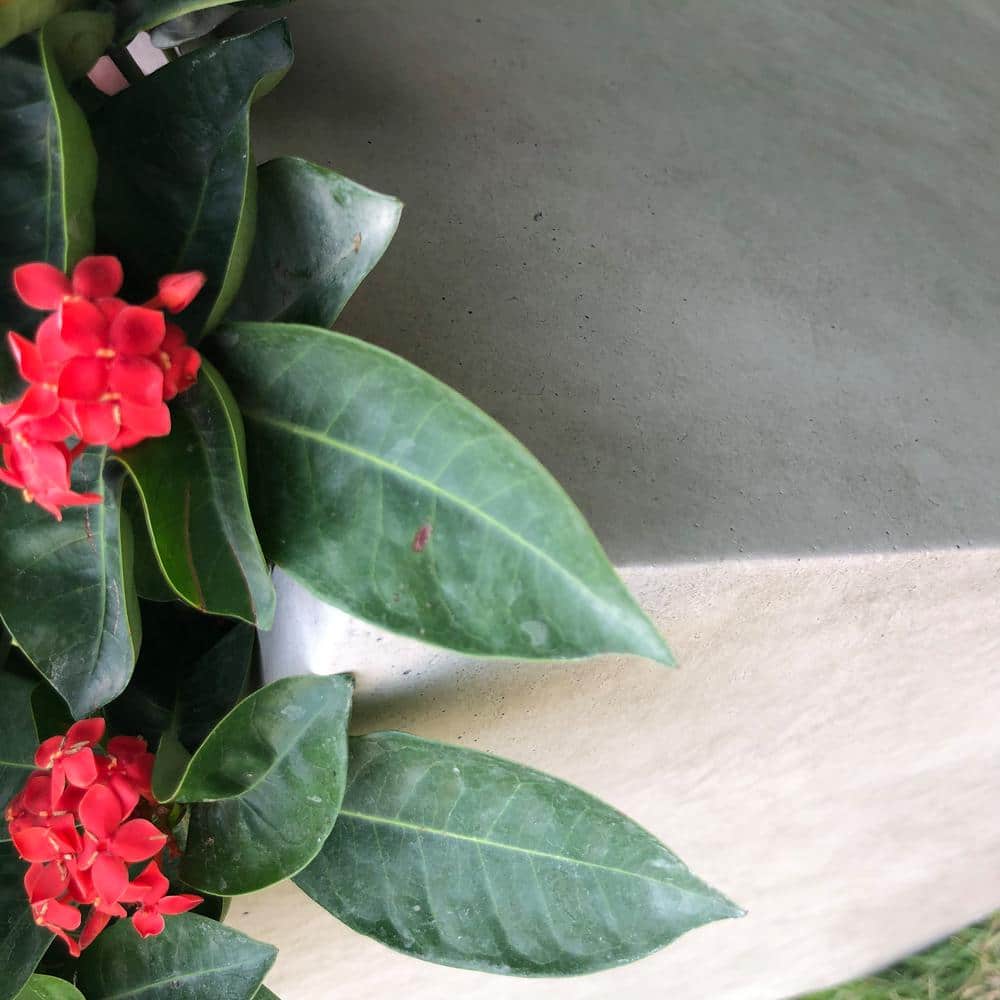 Modern Lightweight Concrete 12" Square Planter for Indoor & Outdoor
