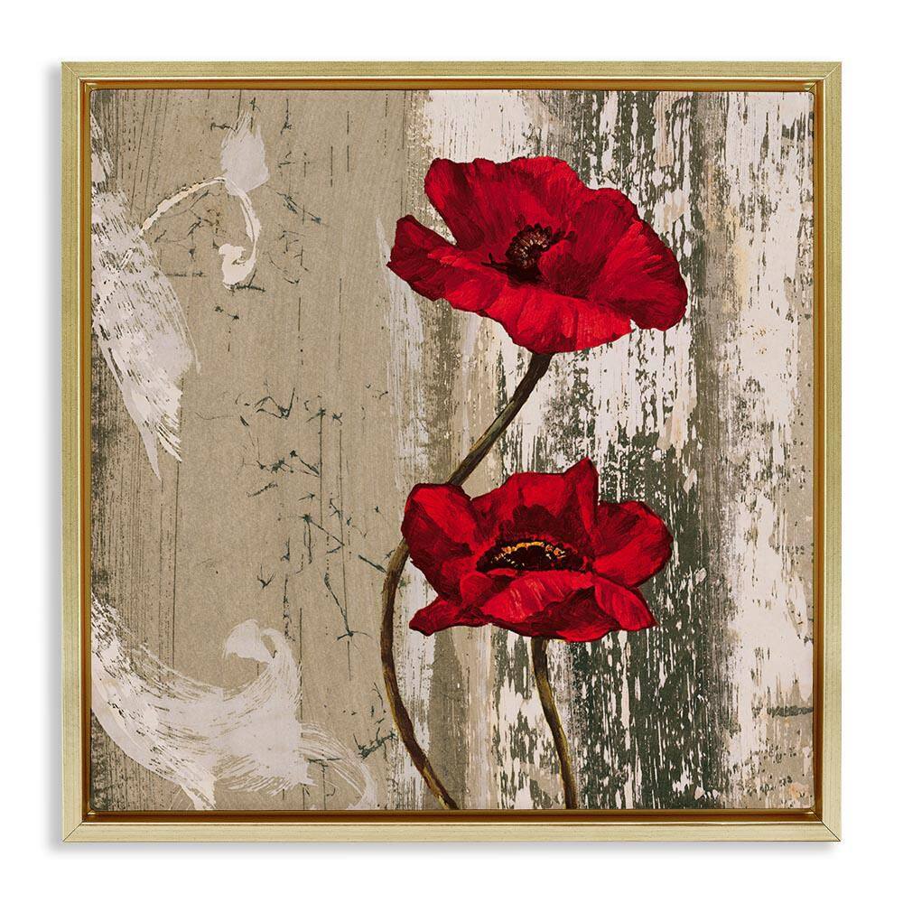 Red Anemones Duo by Brian Foster Gold Floater Frame Nature Graphic Art Print 25 in. x 25 in. price history on PriceWatchPro