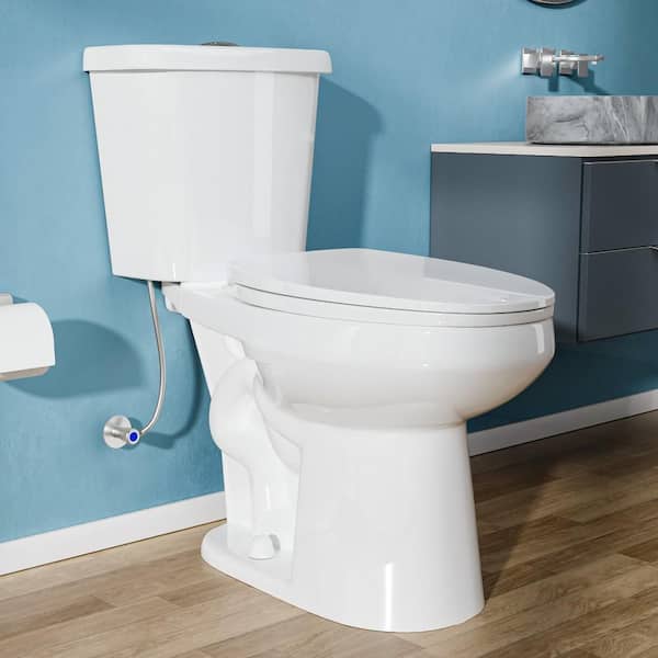 17 in ADA Height Elongated Bowl Dual Flush Toilet 1.1/1.6 GPF in White 2 Piece with Map Flush 1000g and 12 in Rough In