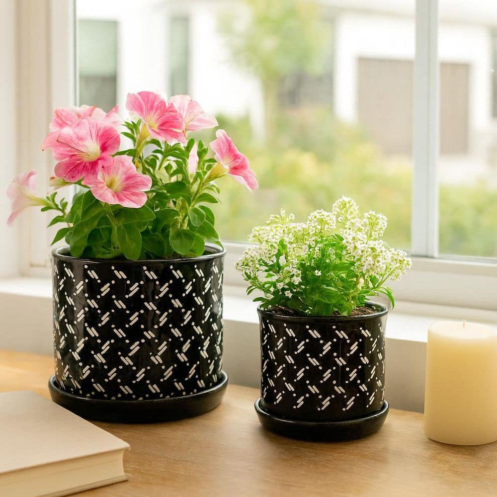 Liv & Skye 6 in. and 8 in. Black Ceramic Dots Saucer Decorative