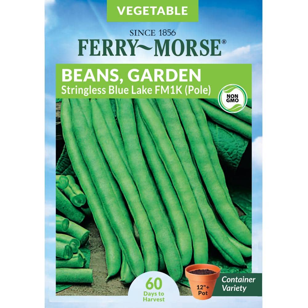 white cowpea beans sku 1A57 | tradekorea