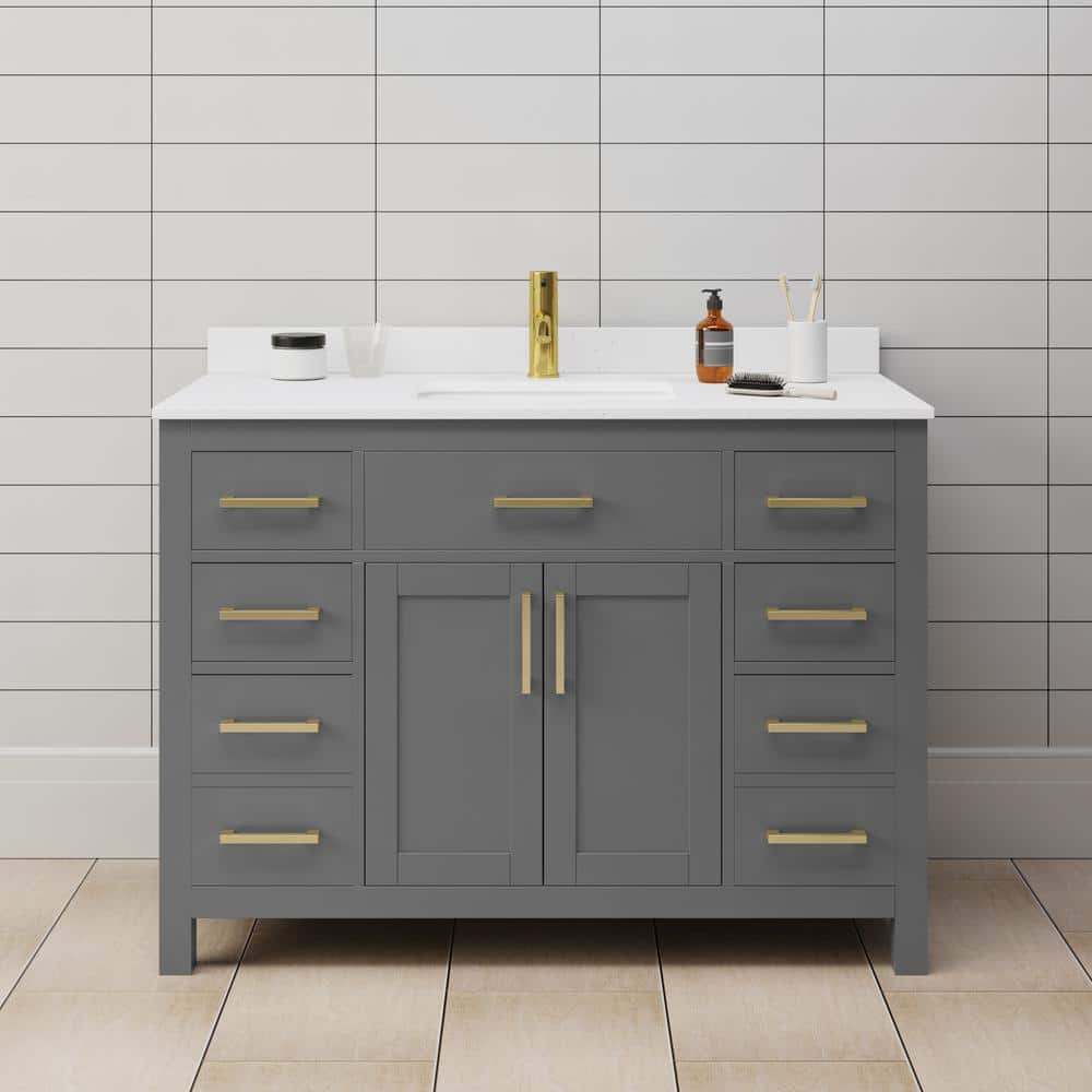 Beckett 48 in. W x 22 in. D x 35 in. H Single Sink Bathroom Vanity in Dark Gray with White Cultured Marble Top price history on PriceWatchPro