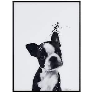 Empire Art Direct Dalmatian Black and White Pet Paintings on Printed  Glass Encased with a Gunmetal Anodized Frame AAGB-JP1032-2418 - The Home  Depot